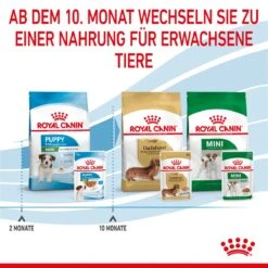 Royal Canin Mini Puppy Frischebeutel 12 X 85 G Frischebeutel Für Hunde 17 Royal Canin Mini Puppy Frischebeutel 12 X 85 G Frischebeutel Für Hunde -Haustier Lieferungen Geschäft S3Pn6KJg0Ad2 9003579008201 4701 8