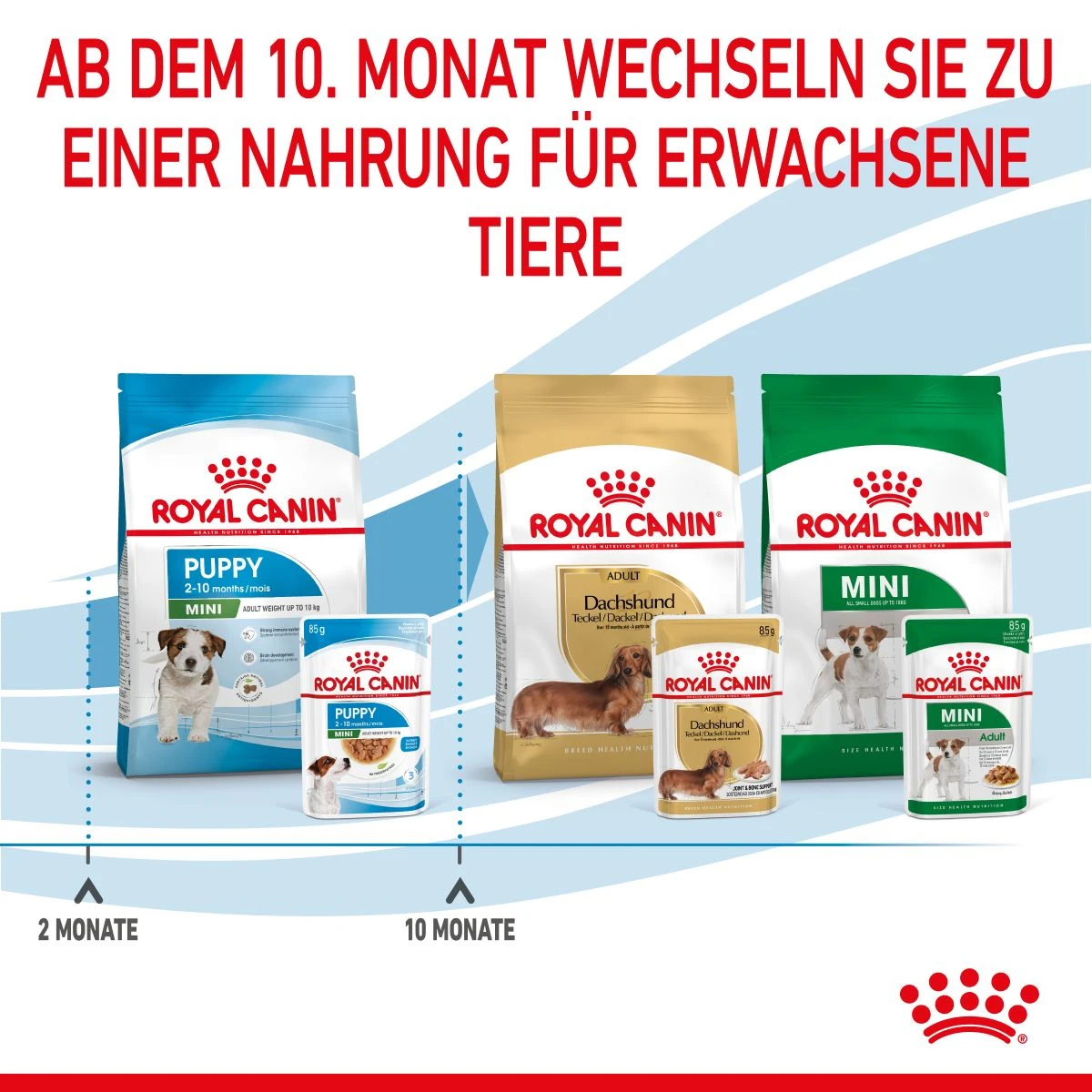 Royal Canin Mini Puppy Frischebeutel 12 X 85 G Frischebeutel Für Hunde 9 Royal Canin Mini Puppy Frischebeutel 12 X 85 G Frischebeutel Für Hunde – Bild 7