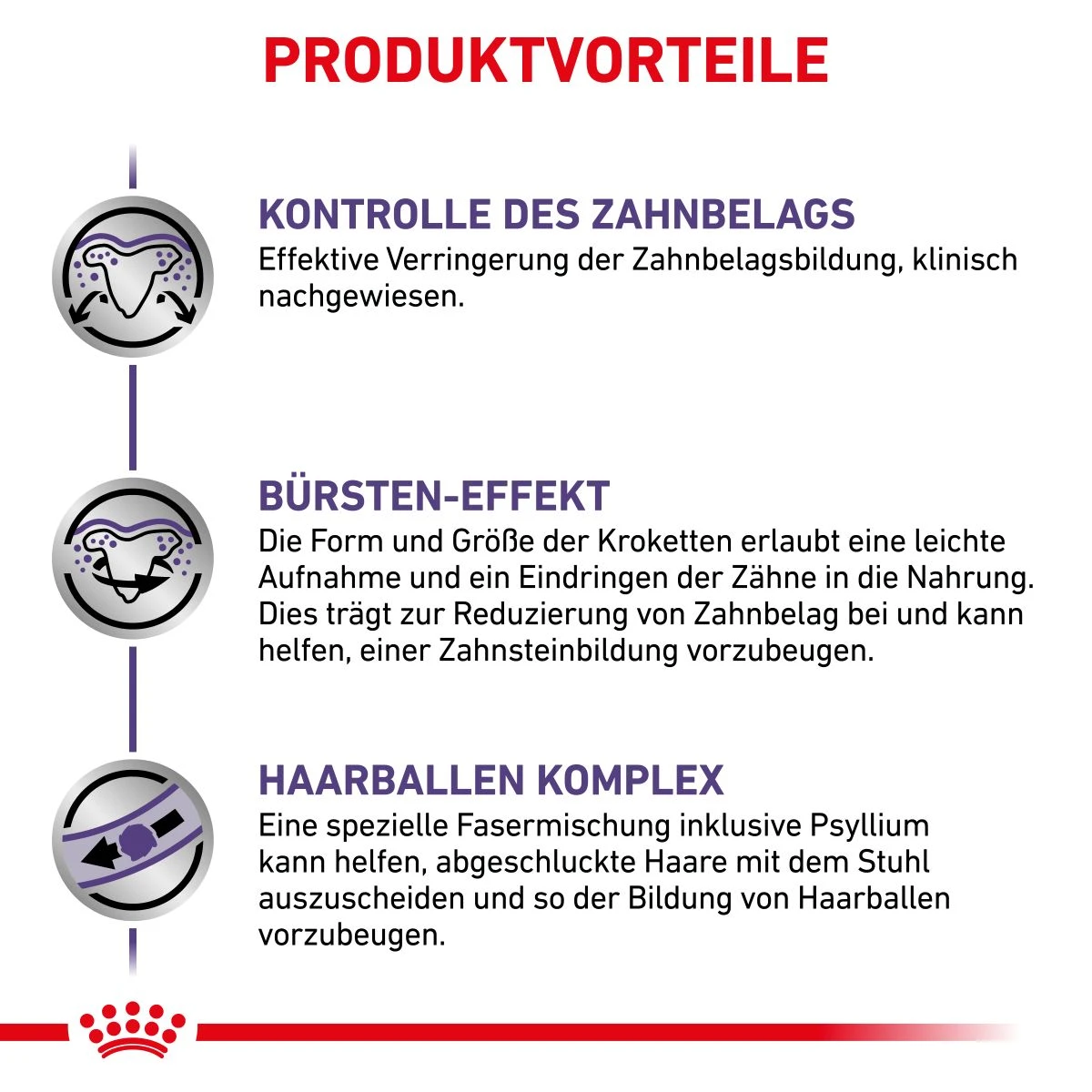 Royal Canin Dental Trockenfutter Für Katzen 1,5 Kg Trockenfutter Für Katzen 5 Royal Canin Dental Trockenfutter Für Katzen 1,5 Kg Trockenfutter Für Katzen – Bild 3