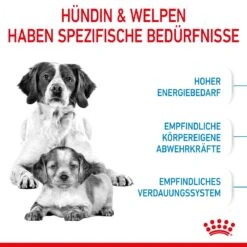 Royal Canin Medium Starter Trockenfutter 15 Kg Trockenfutter Für Hunde -Haustier Lieferungen Geschäft SULUsX5vduom 3182550932714 2515 3