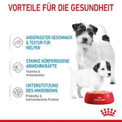 Royal Canin Starter Ultra Soft Mousse Für Welpen 12 X 195 G -Haustier Lieferungen Geschäft Smn5EA4AZdCE 9003579020036 4300 4