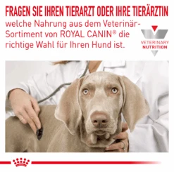 Royal Canin Hypoallergenic Hundefutter 2 Kg Trockenfutter Für Hunde -Haustier Lieferungen Geschäft TFczqNBRSIE2 3182550939904 5739 3