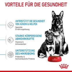 Royal Canin Maxi Starter Trockenfutter 15 Kg Trockenfutter Für Hunde -Haustier Lieferungen Geschäft TwyghNpPvGUl 3182550778787 2525 4