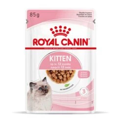Royal Canin Kitten Second Age Für Kätzchen Bis Zum 12. Monat 12 X 85 G In Soße Frischebeutel 21 Royal Canin Kitten Second Age Für Kätzchen Bis Zum 12. Monat 12 X 85 G In Soße Frischebeutel -Haustier Lieferungen Geschäft TwzlIf7AQgTc 9003579308745 4501 Packshot