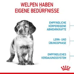 Royal Canin Medium Puppy Für Welpen Mittelgroßer Hunderassen 4 Kg Trockenfutter 15 Royal Canin Medium Puppy Für Welpen Mittelgroßer Hunderassen 4 Kg Trockenfutter -Haustier Lieferungen Geschäft TygQwR35BMyl 3182550402132 2905 3