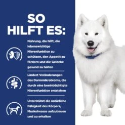 Hills K/d + Mobility Trockenfutter Für Hunde 4 Kg Trockenfutter Für Hunde -Haustier Lieferungen Geschäft UASo73SBpu9z 52742047140 5