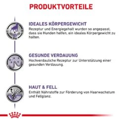 Royal Canin Neutered Adult Frischebeutel Für Hunde 12 X 100 G Frischebeutel Für Hunde -Haustier Lieferungen Geschäft UjAQj2rDRSHV 9003579015476 4042 3