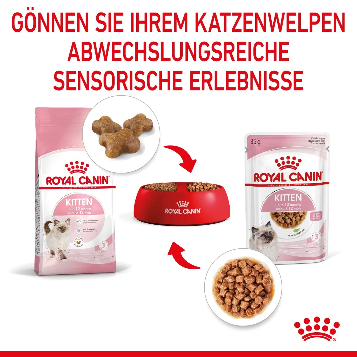 Royal Canin Kitten Second Age Für Kätzchen Bis Zum 12. Monat 12 X 85 G In Soße Frischebeutel 8 Royal Canin Kitten Second Age Für Kätzchen Bis Zum 12. Monat 12 X 85 G In Soße Frischebeutel – Bild 6