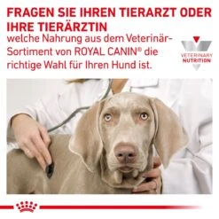 Royal Canin Gastrointestinal Low Fat Hundefutter In Dosen 12 X 200 G Low Fat Mousse Dosenfutter 25 Royal Canin Gastrointestinal Low Fat Hundefutter In Dosen 12 X 200 G Low Fat Mousse Dosenfutter -Haustier Lieferungen Geschäft WQmAY4AdUUrh 9003579024515 58 8