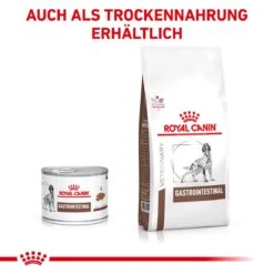 Royal Canin Gastrointestinal Dosenfutter Für Hunde 12 X 400 G Dosenfutter Für Hunde -Haustier Lieferungen Geschäft WaoiGVvDEnZZ 9003579311998 53 3.jpeg