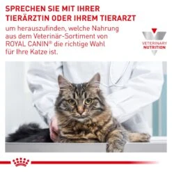 Royal Canin Urinary S/O Moderate Calorie Katze Frischebeutel 12 X 85 G Frischebeutel Für Katzen 18 Royal Canin Urinary S/O Moderate Calorie Katze Frischebeutel 12 X 85 G Frischebeutel Für Katzen -Haustier Lieferungen Geschäft XcxRys2FS3TD 9003579010228 5220 8