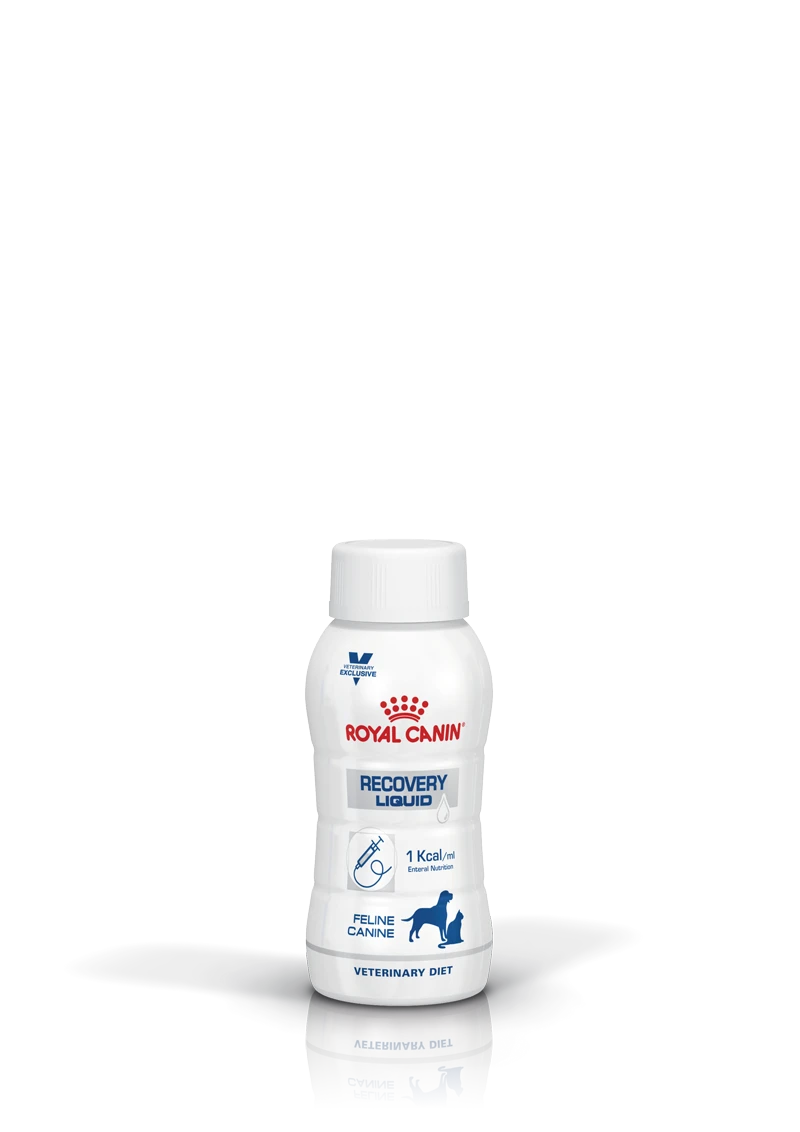 Royal Canin Liquid Recovery 1x 3x200g LIQUID Recovery Hund Und Katze 3 Royal Canin Liquid Recovery 1x 3x200g LIQUID Recovery Hund Und Katze