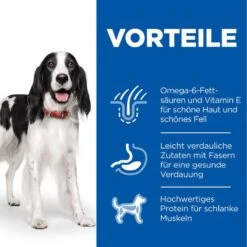 Hills Science Plan Canine Adult Huhn Dosenfutter Für Hunde 12 X 370 G Dosenfutter Mit Huhn -Haustier Lieferungen Geschäft ZPyC7cr9L8ig 52742050782 3