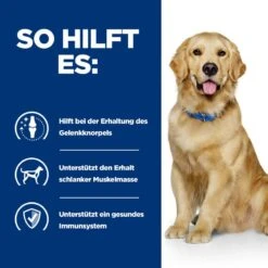 Hills J/D Dosenfutter Für Hunde 12 X 370 G Dosen -Haustier Lieferungen Geschäft aoW0YCHBgHVf 52742055244 4