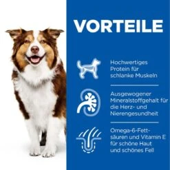 Hills Science Plan Canine Mature Adult 7+ Hund Huhn Dosenfutter 12 X 370 G Dosenfutter Mit Huhn -Haustier Lieferungen Geschäft bOfrQfyKjw55 52742051598 3