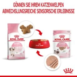 Royal Canin Kitten Frischebeutel Mousse 12 X 85 G Mousse Frischebeutel -Haustier Lieferungen Geschäft cAFOkJDYaZEU 9003579003831 4505 5