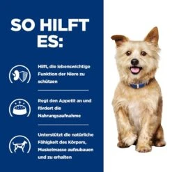 Hills K/D Für Hunde Dosenfutter Mit Huhn 12 X 370 G Dosenfutter Für Hunde 12 Hills K/D Für Hunde Dosenfutter Mit Huhn 12 X 370 G Dosenfutter Für Hunde -Haustier Lieferungen Geschäft cwOoYyVRS8Eh 52742053158 4