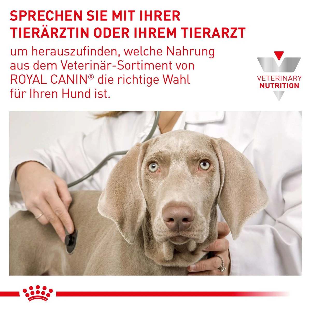 Royal Canin Satiety Weight Management Trockenfutter Für Hunde 1,5 Kg Trockenfutter Für Hunde 9 Royal Canin Satiety Weight Management Trockenfutter Für Hunde 1,5 Kg Trockenfutter Für Hunde – Bild 7