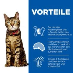 Hills Science Plan Feline Adult Light Huhn Trockenfutter Für Katzen 10 Kg Huhn Trockenfutter Für Katzen 8 Hills Science Plan Feline Adult Light Huhn Trockenfutter Für Katzen 10 Kg Huhn Trockenfutter Für Katzen -Haustier Lieferungen Geschäft dlDhabaZSXRt 52742752006 3