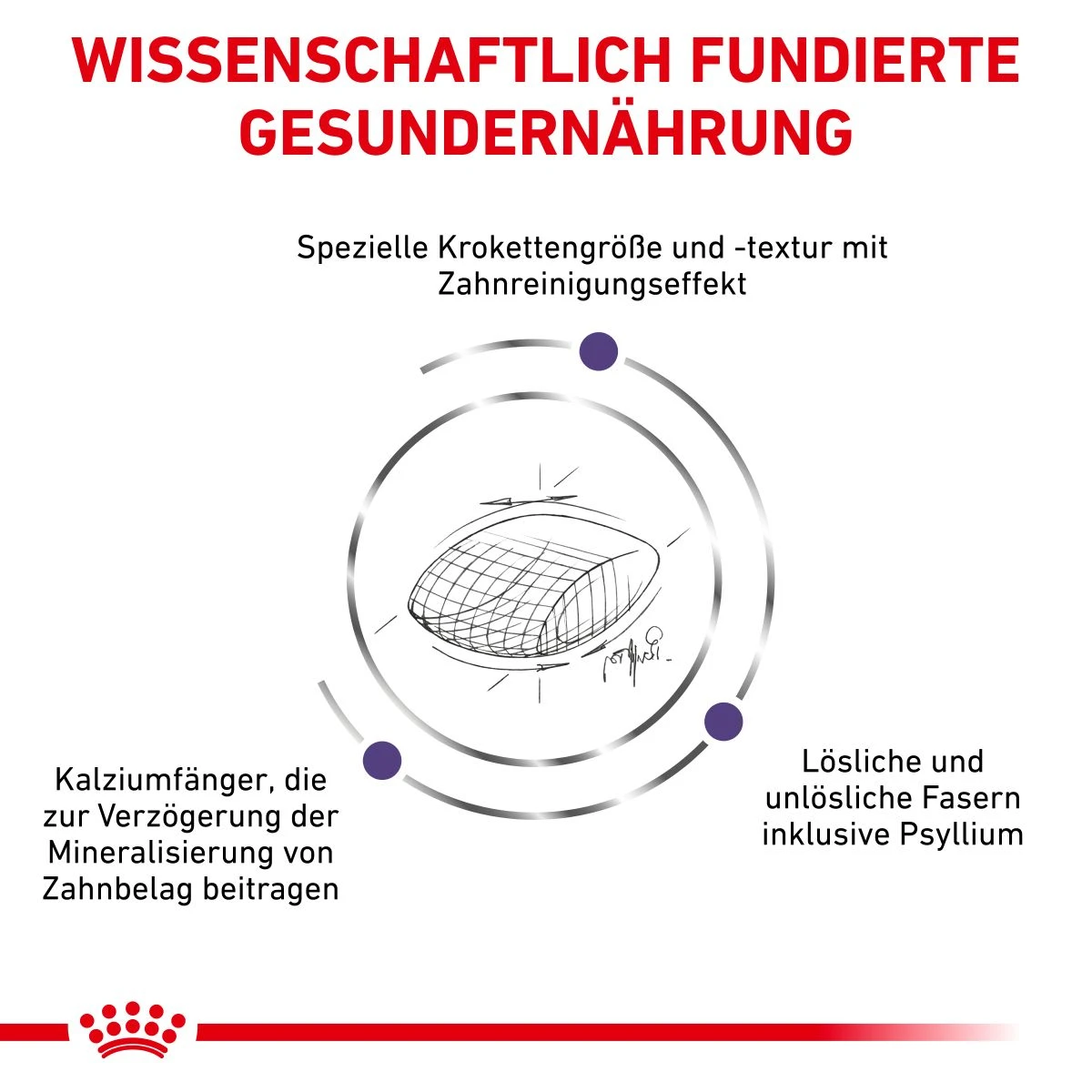 Royal Canin Dental Trockenfutter Für Katzen 1,5 Kg Trockenfutter Für Katzen 4 Royal Canin Dental Trockenfutter Für Katzen 1,5 Kg Trockenfutter Für Katzen – Bild 2