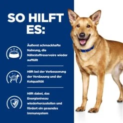 Hills I/d Ragout In Dosen Für Hunde 12 X 354 G Dosenfutter Für Hunde -Haustier Lieferungen Geschäft eEdYmcizJ2jB 52742039855 4