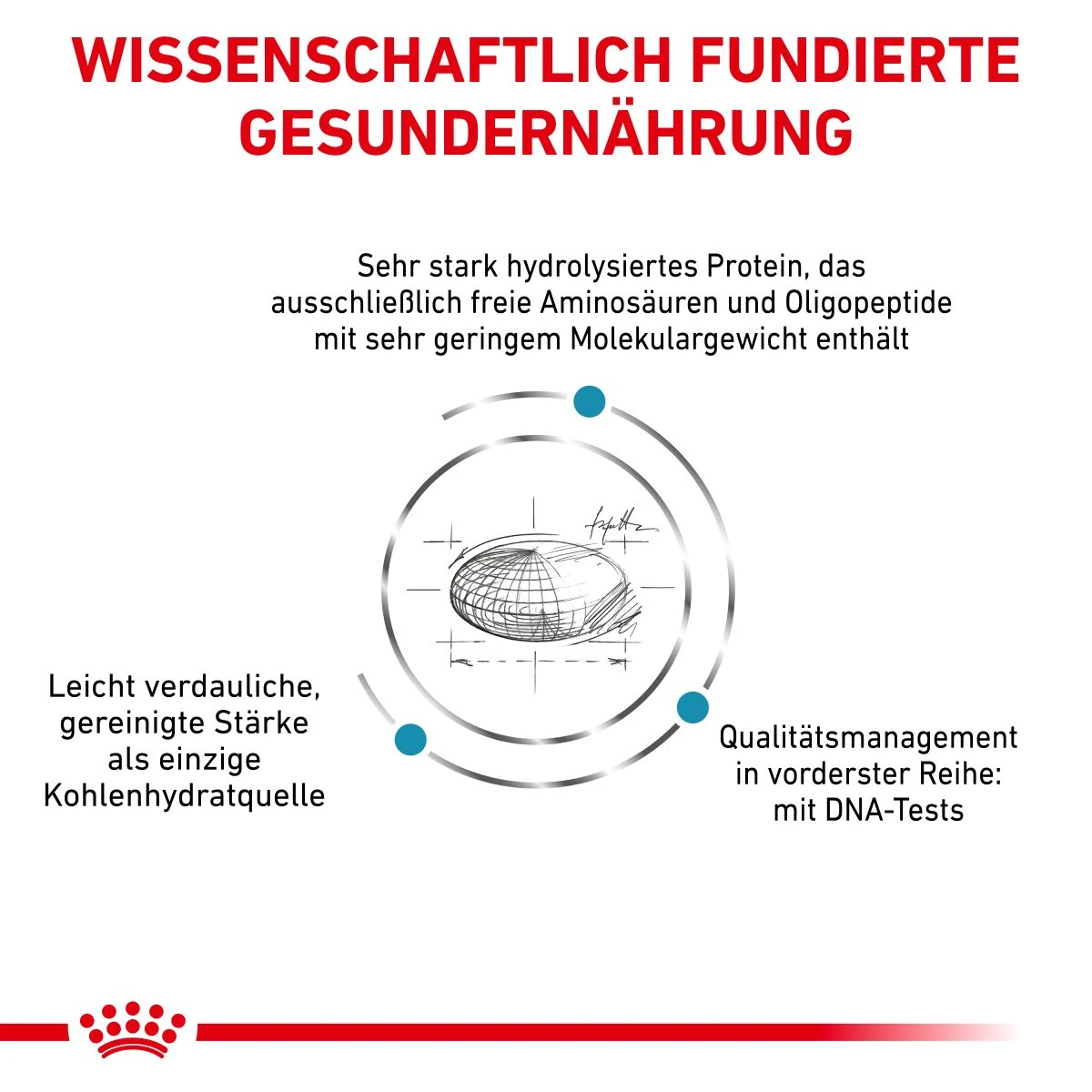 Royal Canin Anallergenic Small Dogs Trockenfutter Für Hunde 1,5 Kg Trockenfutter Für Hunde 5 Royal Canin Anallergenic Small Dogs Trockenfutter Für Hunde 1,5 Kg Trockenfutter Für Hunde – Bild 3