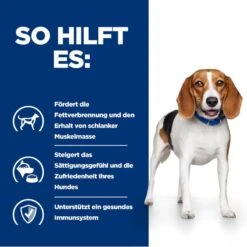 Hills R/d Trockenfutter Für Hunde 4 Kg Trockenfutter Für Hunde 12 Hills R/d Trockenfutter Für Hunde 4 Kg Trockenfutter Für Hunde -Haustier Lieferungen Geschäft ehZmY4HPStn7 52742665405 4