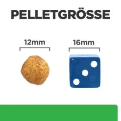 Hills R/d Trockenfutter Für Hunde 4 Kg Trockenfutter Für Hunde 13 Hills R/d Trockenfutter Für Hunde 4 Kg Trockenfutter Für Hunde -Haustier Lieferungen Geschäft fij7fIWepnUZ 52742665405 5