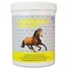 NutriLabs Supersulf MSM Equin Fürs Pferd 1 Kg Supersulf MSM -Haustier Lieferungen Geschäft foJUeXMMqsnW nutrilabs supersulf msm equin 1000x1000 1
