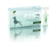 Selectavet Dermoscent PYOclean Oto Für Hunde 10 X 5 Ml Dermoscent PYOclean Oto 1 Selectavet Dermoscent PYOclean Oto Für Hunde 10 X 5 Ml Dermoscent PYOclean Oto -Haustier Lieferungen Geschäft g0QlVKWetCQf 52148b4e68fade6b750000a9 0