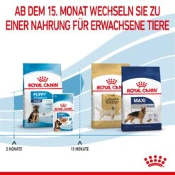 Royal Canin Maxi Puppy Für Welpen Großer Rassen 4 Kg Trockenfutter Für Hunde -Haustier Lieferungen Geschäft gCujpfZVXnqN 3182550402163 3005 6
