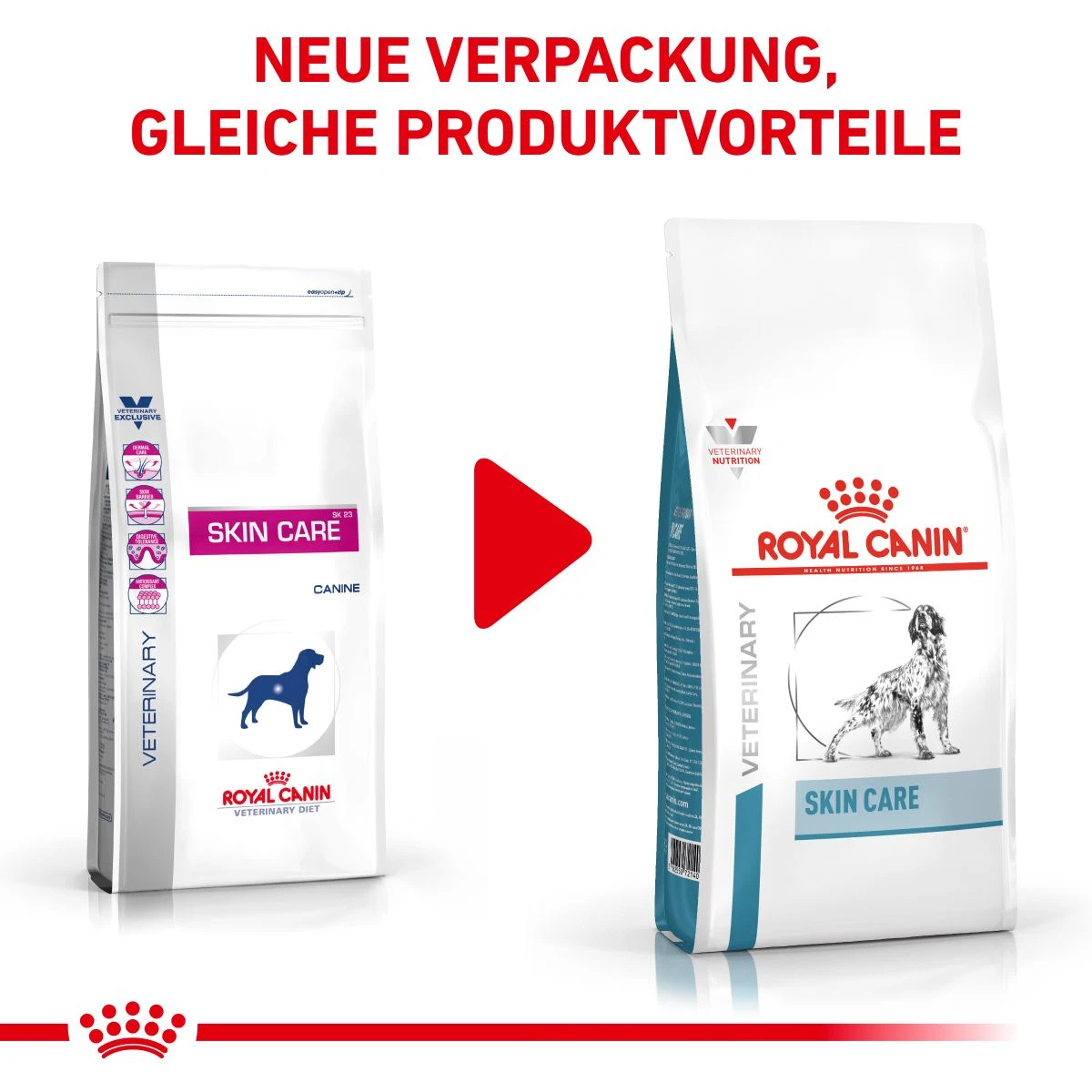 Royal Canin Skin Care Trockenfutter Für Hunde 2 Kg Trockenfutter Für Hunde 4 Royal Canin Skin Care Trockenfutter Für Hunde 2 Kg Trockenfutter Für Hunde – Bild 2