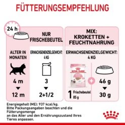 Royal Canin Kitten Frischebeutel Mousse 12 X 85 G Mousse Frischebeutel -Haustier Lieferungen Geschäft giLHhyLgFmFd 9003579003831 4505 7