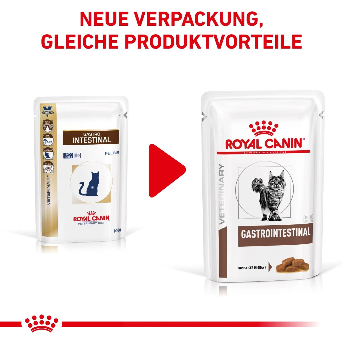 Royal Canin Gastro Intestinal Frischebeutel Für Katzen 12 X 85 G Frischebeutel Für Katzen 5 Royal Canin Gastro Intestinal Frischebeutel Für Katzen 12 X 85 G Frischebeutel Für Katzen – Bild 3