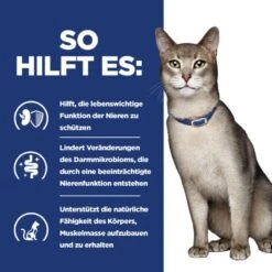 Hills K/d Katze Dosenfutter Bei Nierenerkrankungen 24 X 156 G Feingehackt - Huhn Dosen -Haustier Lieferungen Geschäft iEYs1yMol1MX 52742048833 5