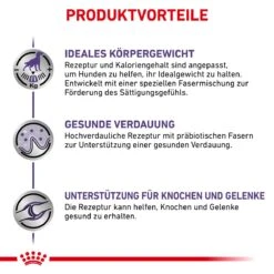 Royal Canin Neutered Adult Large Dogs Trockenfutter Für Hunde 12 Kg Trockenfutter Für Hunde 15 Royal Canin Neutered Adult Large Dogs Trockenfutter Für Hunde 12 Kg Trockenfutter Für Hunde -Haustier Lieferungen Geschäft j0F4PjBSn6TO 3182550761925 6669 5