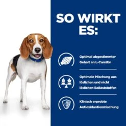 Hills R/d Trockenfutter Für Hunde 4 Kg Trockenfutter Für Hunde 11 Hills R/d Trockenfutter Für Hunde 4 Kg Trockenfutter Für Hunde -Haustier Lieferungen Geschäft jEQSxdOJTD6K 52742665405 3