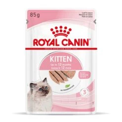 Royal Canin Kitten Frischebeutel Mousse 12 X 85 G Mousse Frischebeutel -Haustier Lieferungen Geschäft jJkO31ORKlf7 9003579003831 4505 Packshot