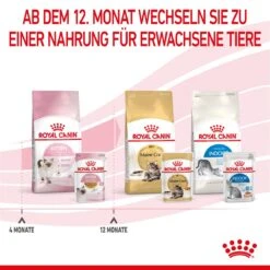 Royal Canin Kitten Frischebeutel Mit Gelee 12 X 85 G In Gelee Frischebeutel -Haustier Lieferungen Geschäft jMh8l7ma7Zjd 9003579311783 4503 8
