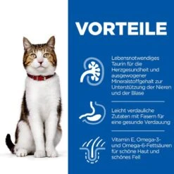 Hills Science Plan Feline Mature Adult 7+ Trockenfutter Für Katzen 10 Kg Huhn Trockenfutter 10 Hills Science Plan Feline Mature Adult 7+ Trockenfutter Für Katzen 10 Kg Huhn Trockenfutter -Haustier Lieferungen Geschäft jNRAdDgxNwdB 52742024257 3