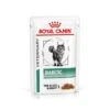 Royal Canin Diabetic Nassfutter Für Katzen 12 X 85 G Frischebeutel Für Katzen -Haustier Lieferungen Geschäft jRHTs9qaCtvB 9003579011980 12 1