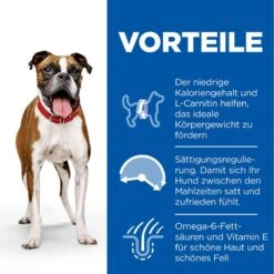 Hills Science Plan Canine Light Adult Medium Mit Huhn Trockenfutter 14 Kg Trockenfutter 7 Hills Science Plan Canine Light Adult Medium Mit Huhn Trockenfutter 14 Kg Trockenfutter -Haustier Lieferungen Geschäft jkGSggzywVXb 52742025834 3