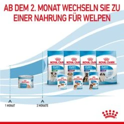 Royal Canin Starter Ultra Soft Mousse Für Welpen 12 X 195 G -Haustier Lieferungen Geschäft lRJix8xKobIA 9003579020036 4300 8