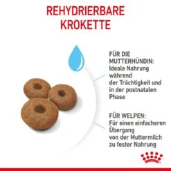 Royal Canin Maxi Starter Trockenfutter 15 Kg Trockenfutter Für Hunde -Haustier Lieferungen Geschäft lY9OgJAc4h3D 3182550778787 2525 5