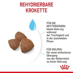 Royal Canin Medium Starter Trockenfutter 15 Kg Trockenfutter Für Hunde -Haustier Lieferungen Geschäft ldIogIgcwsjj 3182550932714 2515 5