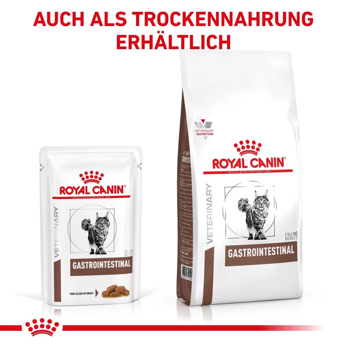 Royal Canin Gastro Intestinal Frischebeutel Für Katzen 12 X 85 G Frischebeutel Für Katzen 10 Royal Canin Gastro Intestinal Frischebeutel Für Katzen 12 X 85 G Frischebeutel Für Katzen – Bild 8