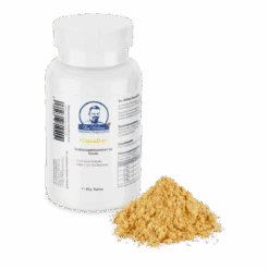 Dr. Hölter CurcuDoc Kurkuma Für Hunde 40g CurcuDoc Pulver