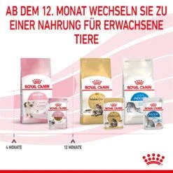 Royal Canin Kitten Second Age Für Kätzchen Bis Zum 12. Monat 12 X 85 G In Soße Frischebeutel 20 Royal Canin Kitten Second Age Für Kätzchen Bis Zum 12. Monat 12 X 85 G In Soße Frischebeutel -Haustier Lieferungen Geschäft mOI5u1yxXlGH 9003579308745 4501 9
