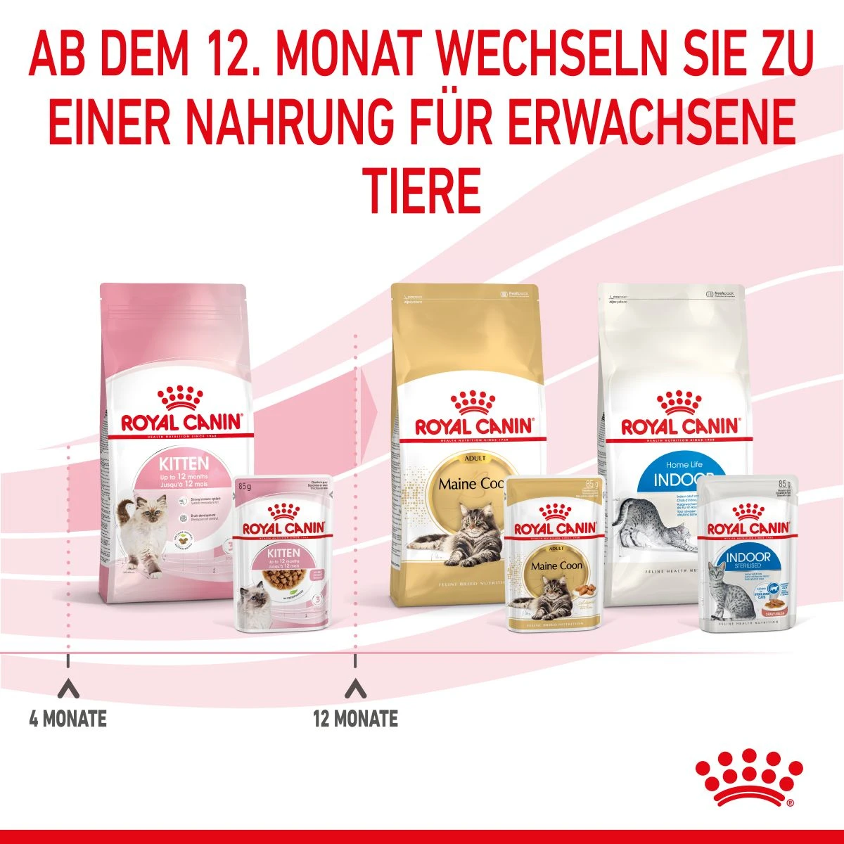 Royal Canin Kitten Second Age Für Kätzchen Bis Zum 12. Monat 12 X 85 G In Soße Frischebeutel 11 Royal Canin Kitten Second Age Für Kätzchen Bis Zum 12. Monat 12 X 85 G In Soße Frischebeutel – Bild 9