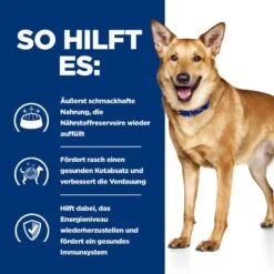 Hills I/d Trockenfutter Für Hunde 1,5 Kg Mit ActivBiome+ Trockenfutter Für Hunde 12 Hills I/d Trockenfutter Für Hunde 1,5 Kg Mit ActivBiome+ Trockenfutter Für Hunde -Haustier Lieferungen Geschäft mmVbc7epMwex 52742043166 4